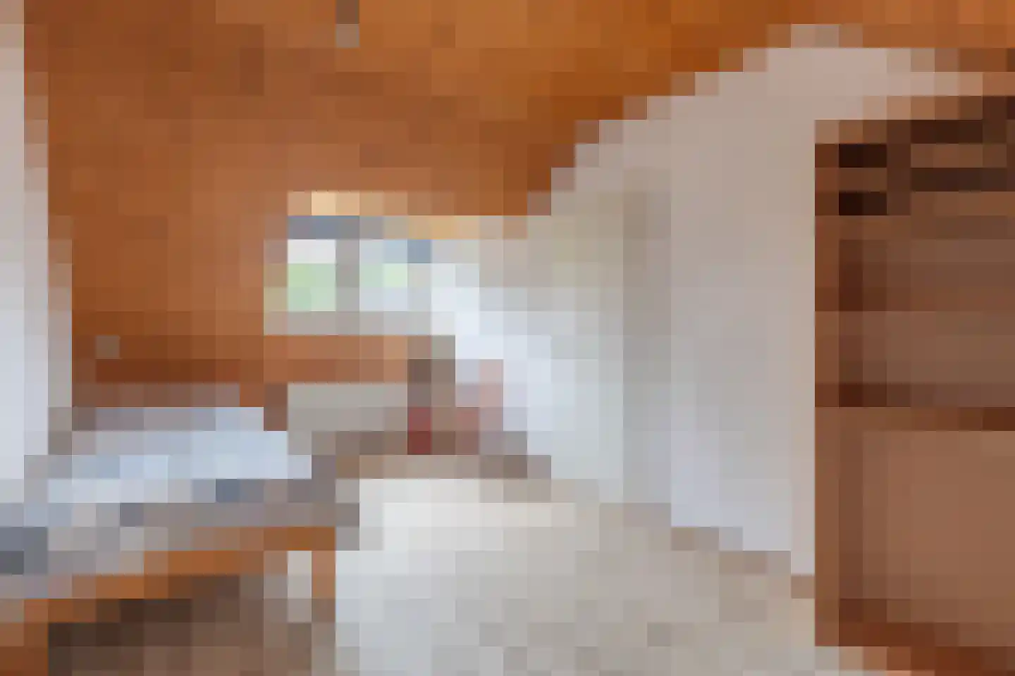 Smaragd 41 Mijdrecht thumbnail 33