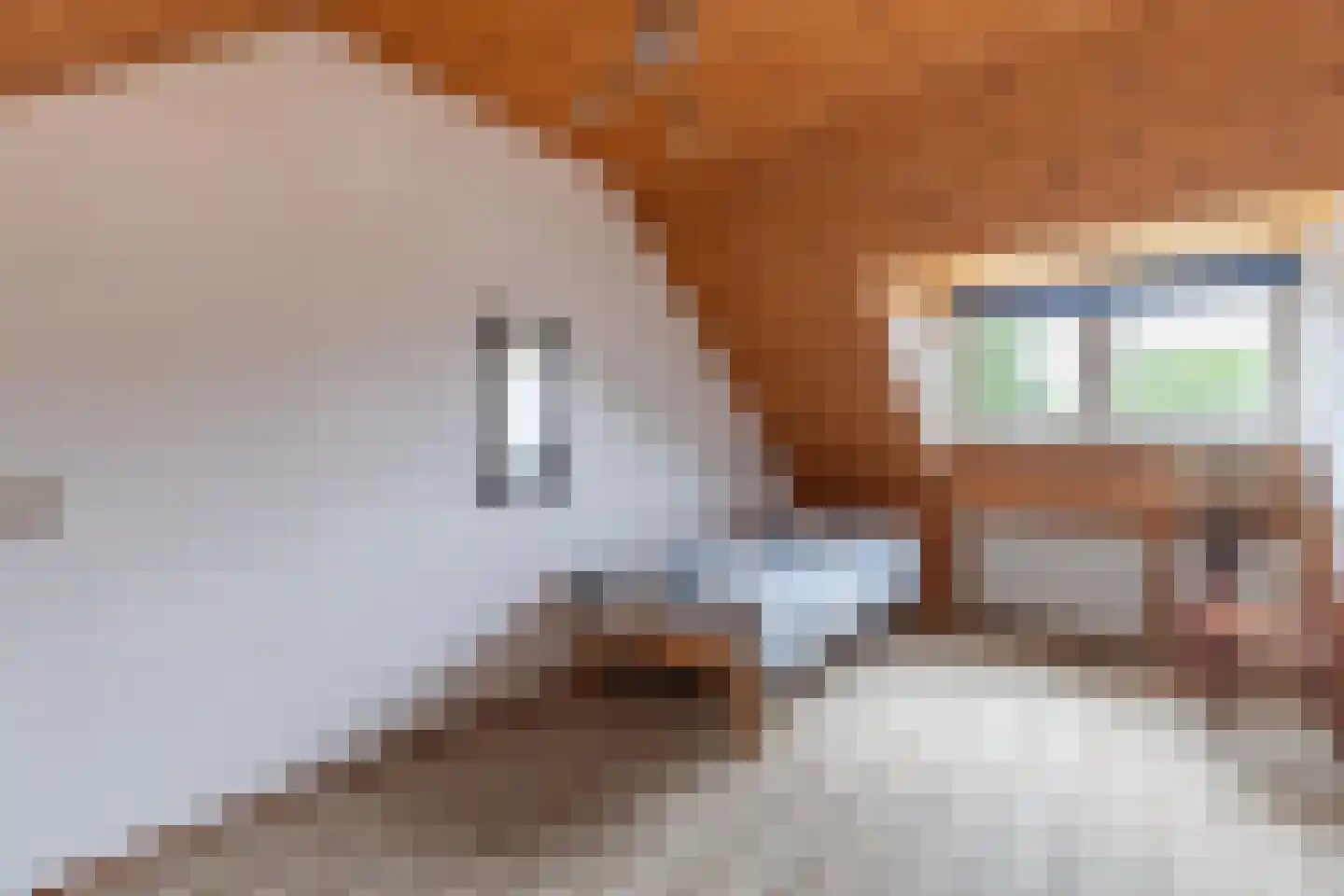 Smaragd 41 Mijdrecht thumbnail 34