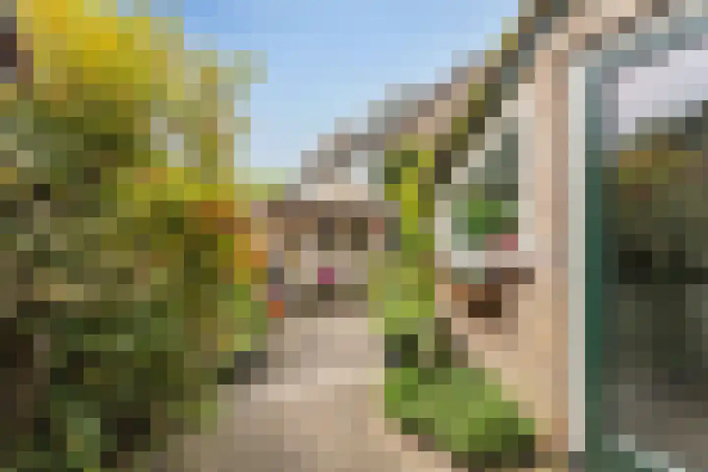 Smaragd 41 Mijdrecht thumbnail 36
