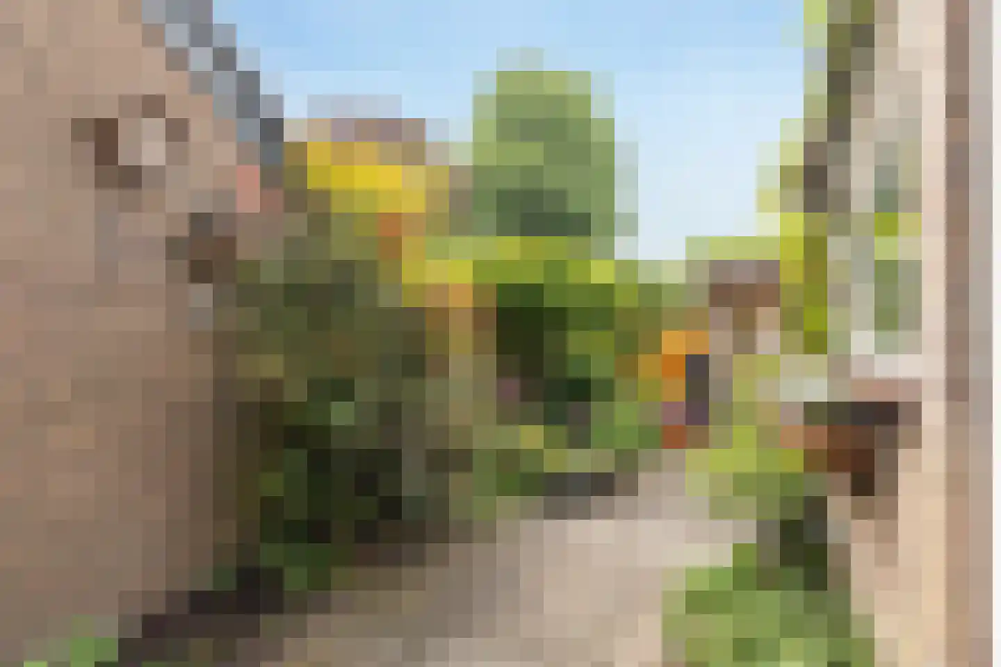 Smaragd 41 Mijdrecht thumbnail 38