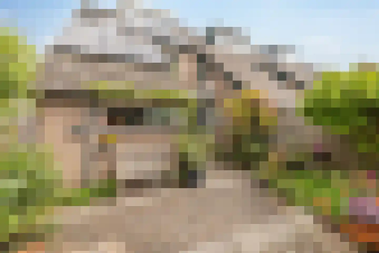 Smaragd 41 Mijdrecht thumbnail 39