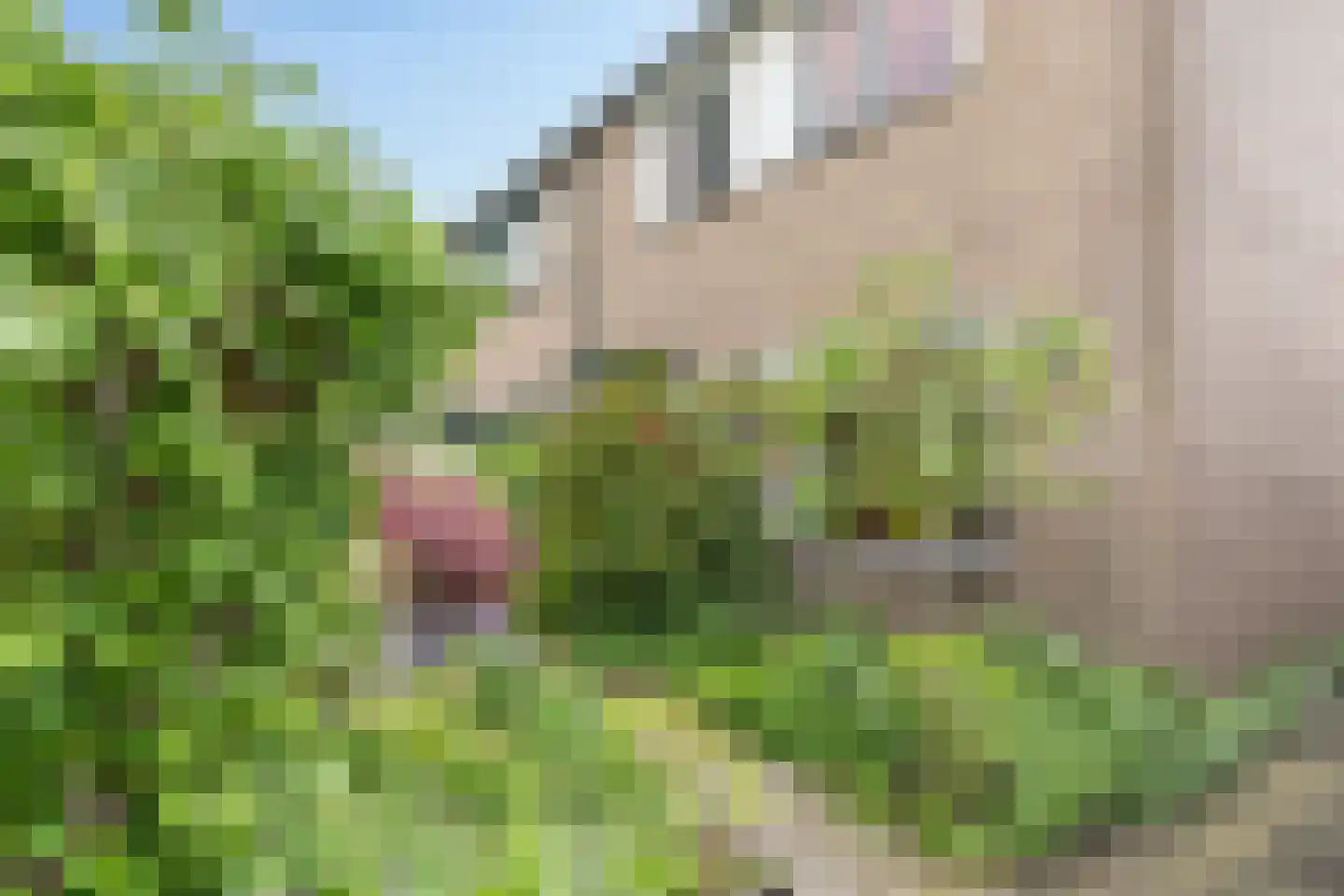 Smaragd 41 Mijdrecht thumbnail 41