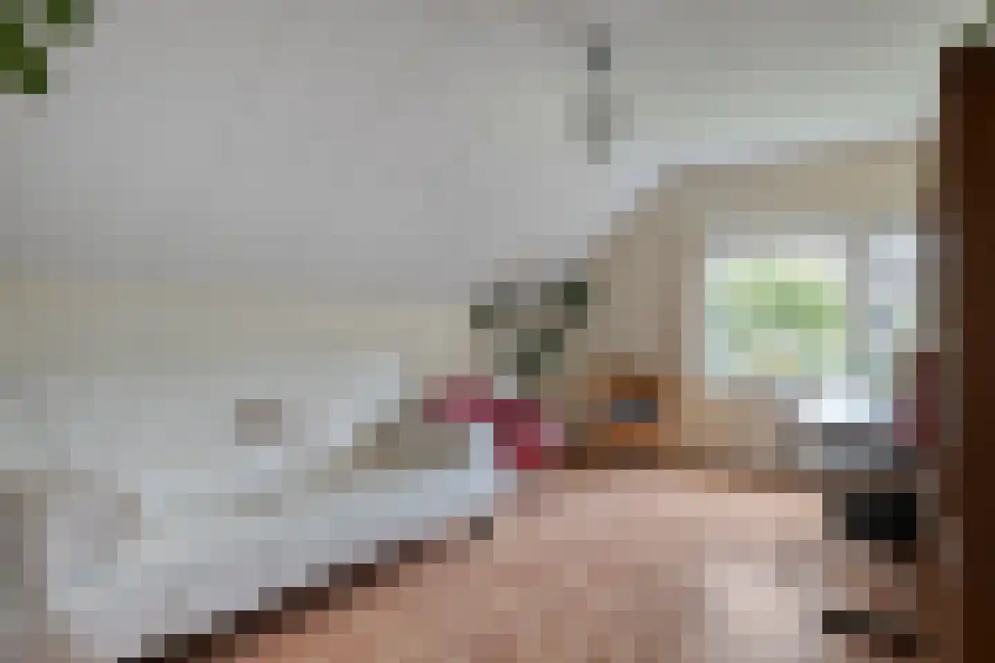 Smaragd 42 Berkel en Rodenrijs thumbnail 26
