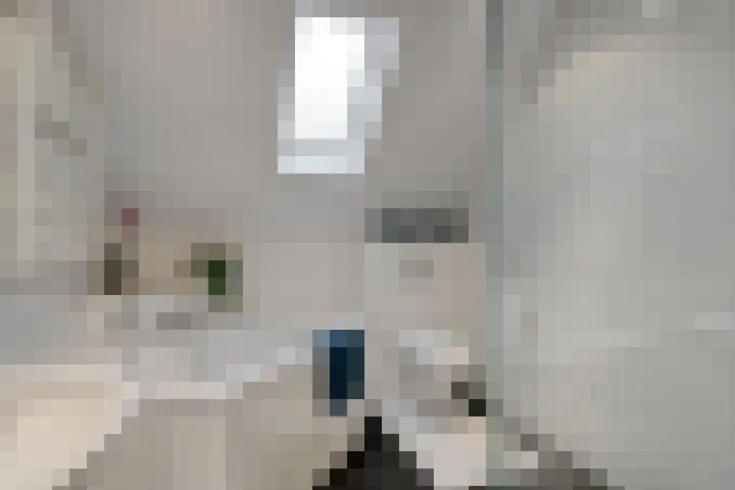 Smaragd 42 Berkel en Rodenrijs thumbnail 28