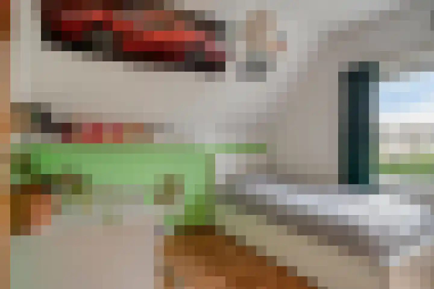 Smaragd 42 Berkel en Rodenrijs thumbnail 32