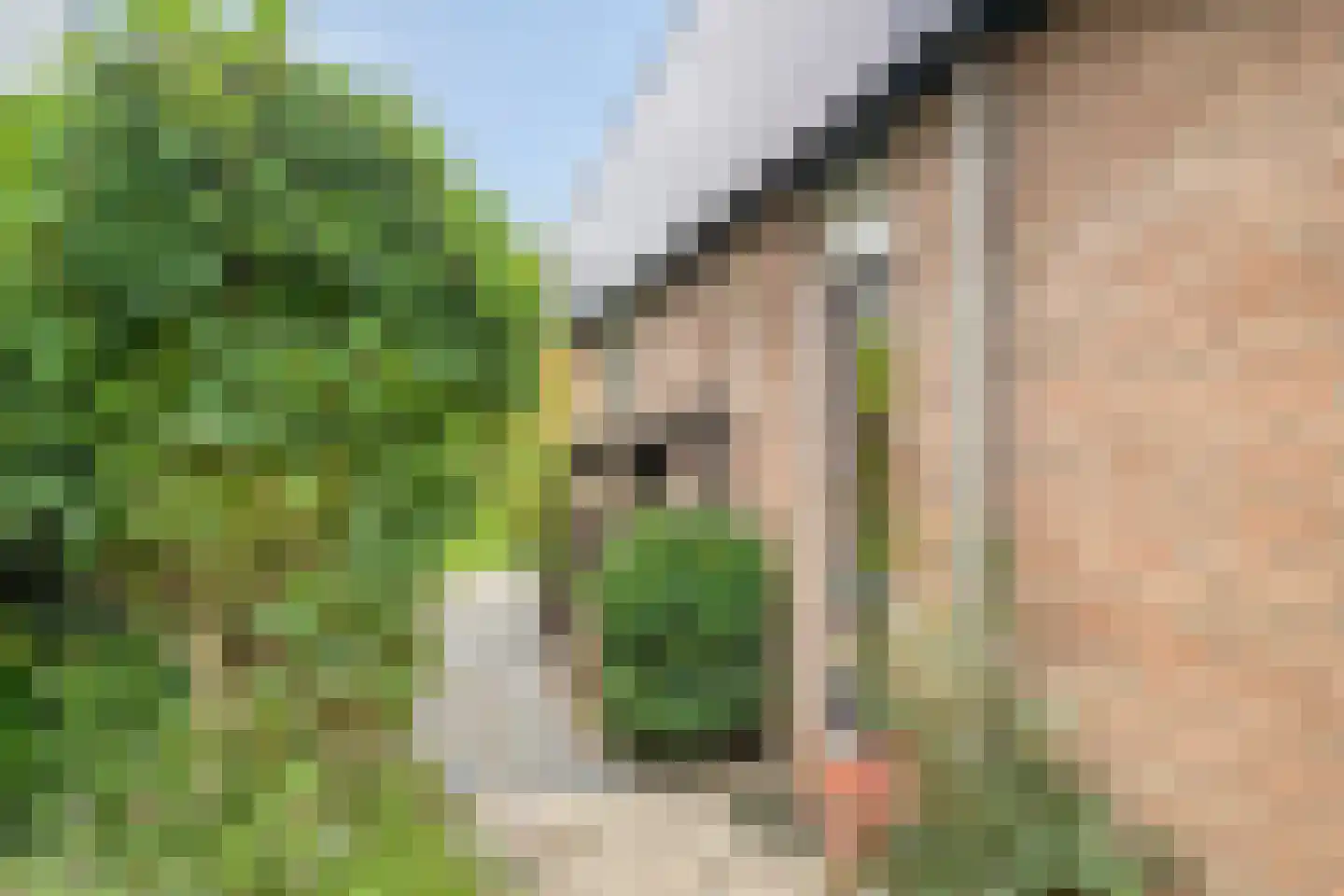Smaragd 42 Berkel en Rodenrijs thumbnail 5