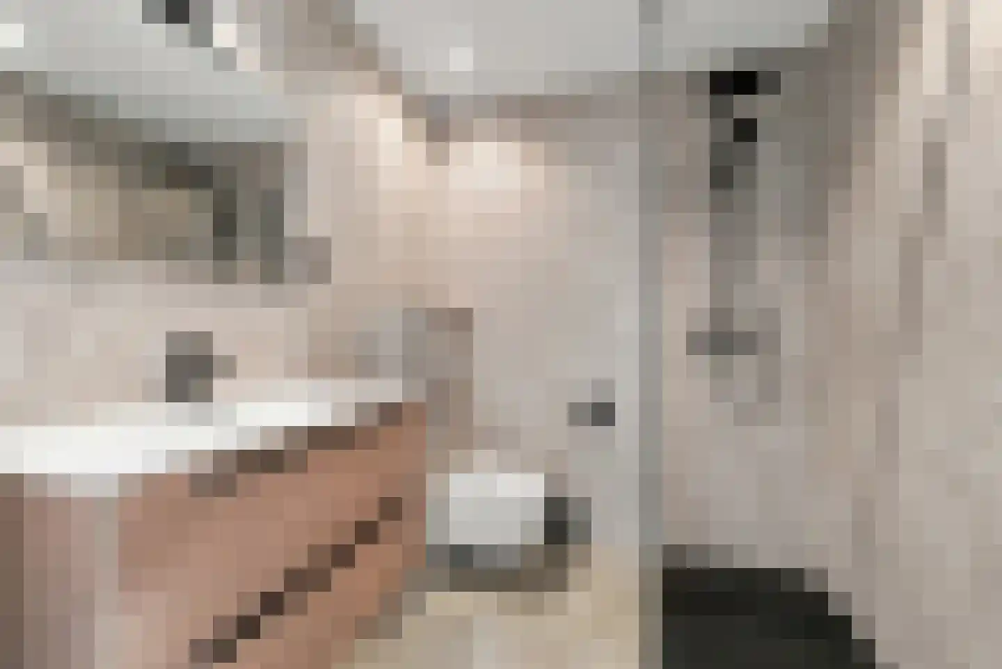 Smaragd 49 Middelburg thumbnail 21
