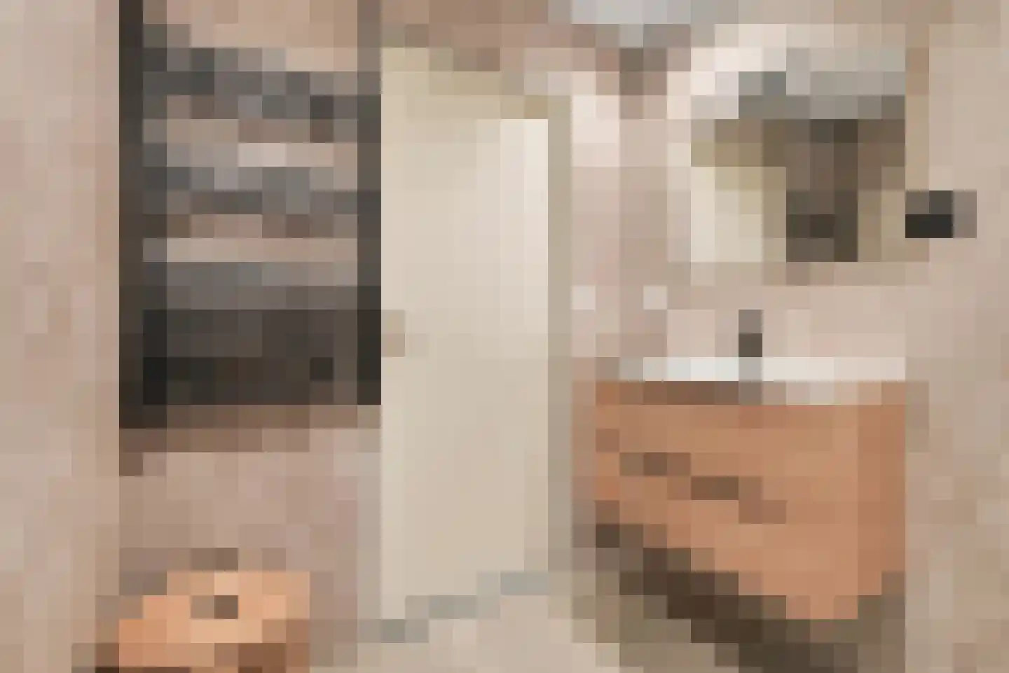 Smaragd 49 Middelburg thumbnail 22