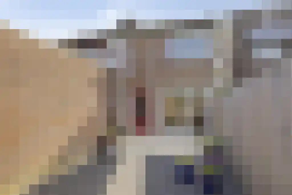 Smaragd 49 Middelburg thumbnail 26