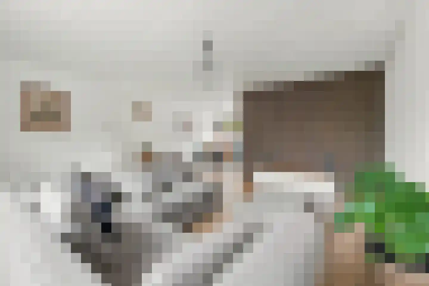 Smaragd 49 Middelburg thumbnail 4