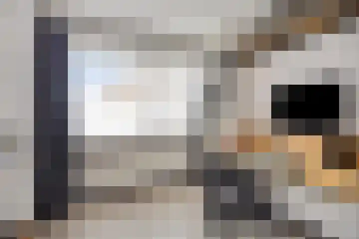 Smaragd 59 Berkel en Rodenrijs thumbnail 22