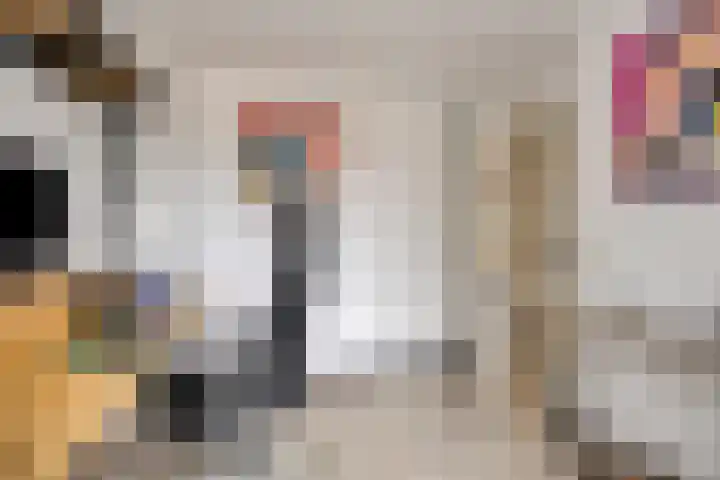 Smaragd 59 Berkel en Rodenrijs thumbnail 23