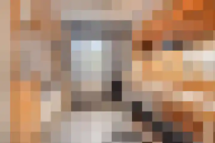 Smaragd 59 Berkel en Rodenrijs thumbnail 24