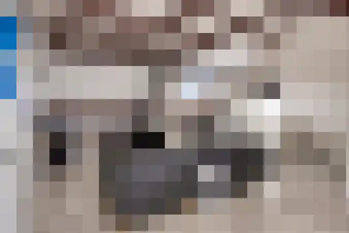 Smaragd 59 Berkel en Rodenrijs thumbnail 26