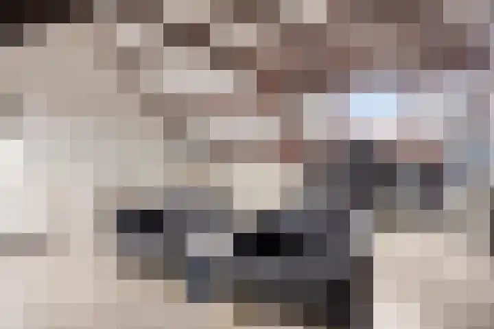 Smaragd 59 Berkel en Rodenrijs thumbnail 27
