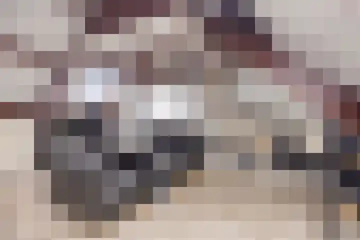 Smaragd 59 Berkel en Rodenrijs thumbnail 28