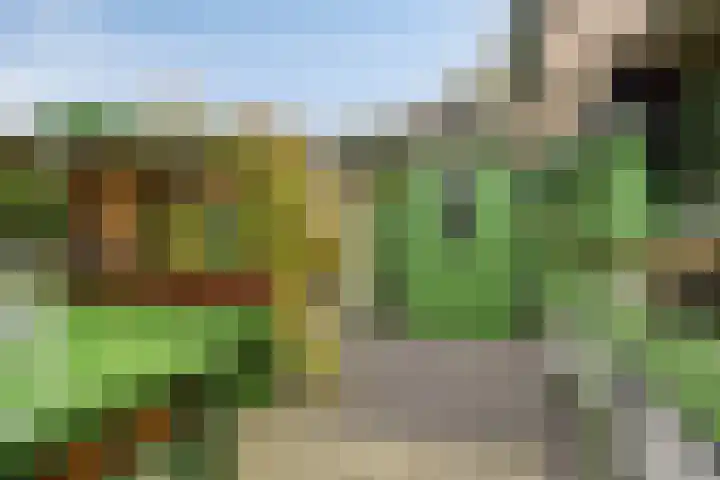 Smaragd 59 Berkel en Rodenrijs thumbnail 29