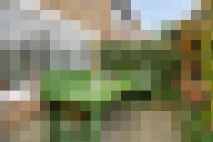 Smaragd 59 Berkel en Rodenrijs thumbnail 30