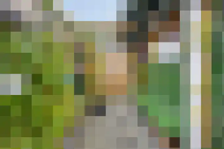 Smaragd 59 Berkel en Rodenrijs thumbnail 31