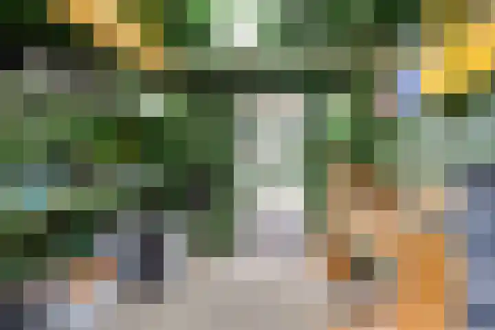 Smaragd 59 Berkel en Rodenrijs thumbnail 33