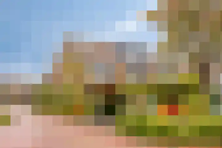 Smaragd 59 Berkel en Rodenrijs thumbnail 42