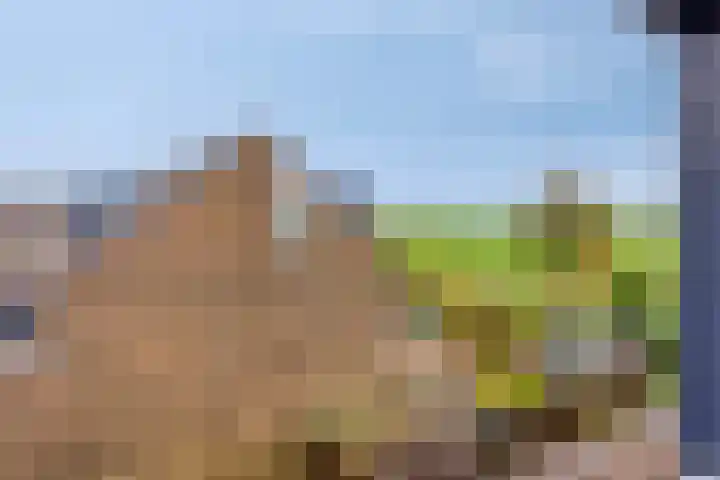 Smaragd 59 Berkel en Rodenrijs thumbnail 46