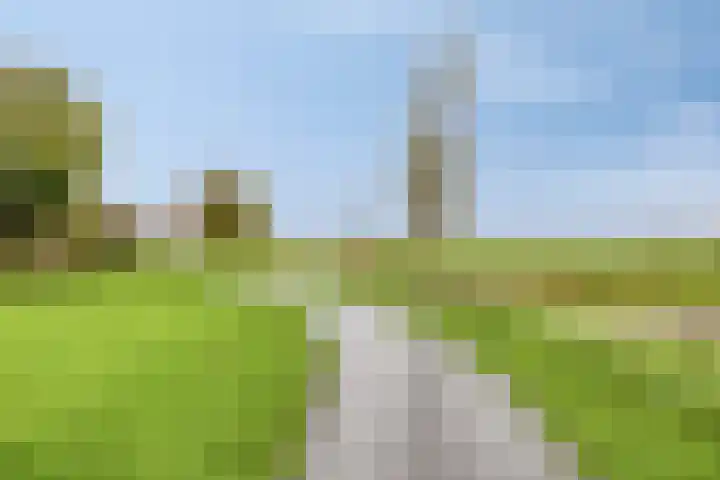 Smaragd 59 Berkel en Rodenrijs thumbnail 47