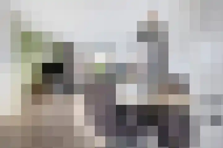 Smaragd 7 Berkel en Rodenrijs thumbnail 14