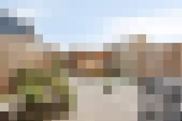 Smaragd 7 Berkel en Rodenrijs thumbnail 15