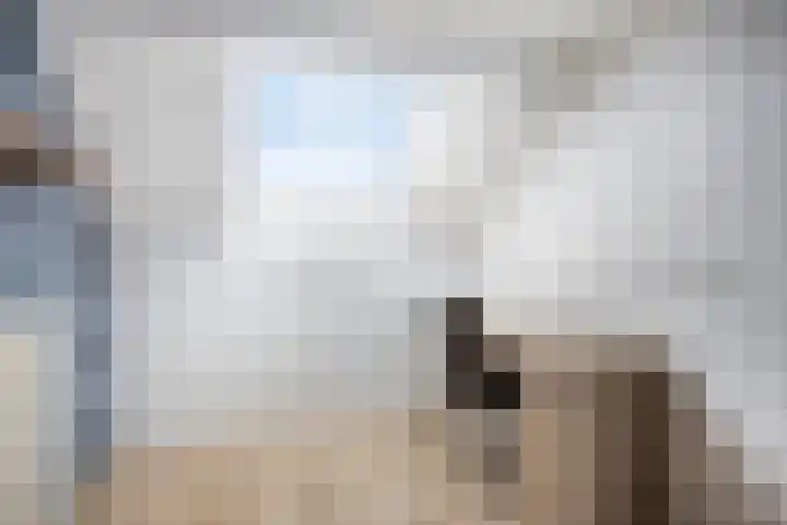 Smaragd 7 Berkel en Rodenrijs thumbnail 38