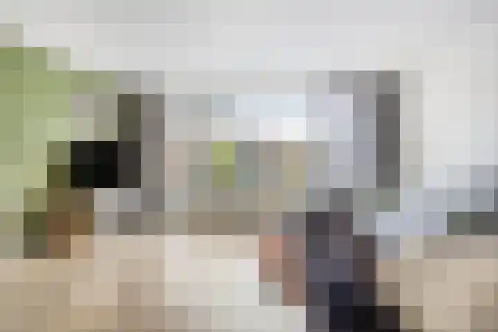 Smaragd 7 Berkel en Rodenrijs thumbnail 8
