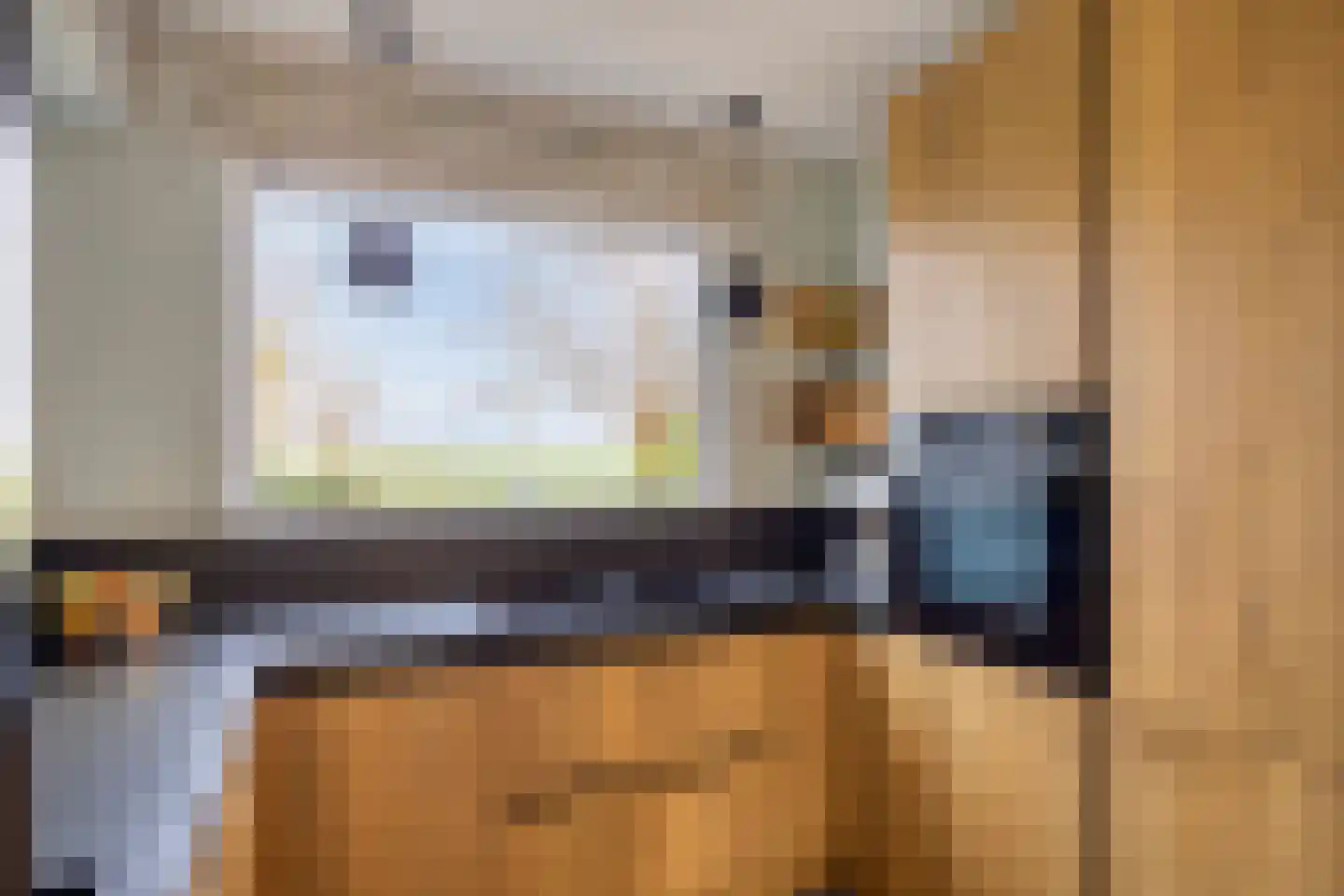 Smaragd 71 Berkel en Rodenrijs thumbnail 18
