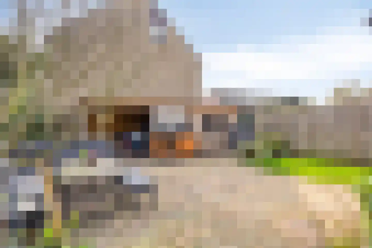 Smaragd 71 Berkel en Rodenrijs thumbnail 45