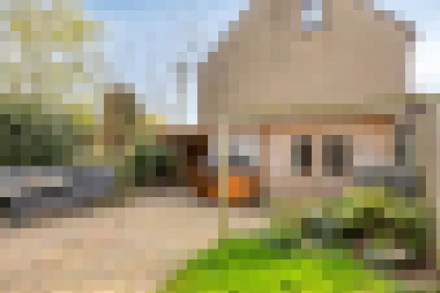 Smaragd 71 Berkel en Rodenrijs thumbnail 46