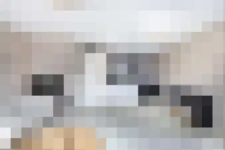 Smaragd 76 Drachten thumbnail 12