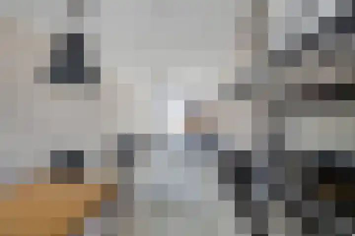 Smaragd 76 Drachten thumbnail 15