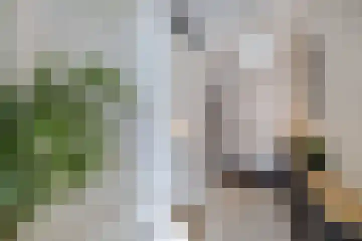 Smaragd 76 Drachten thumbnail 16