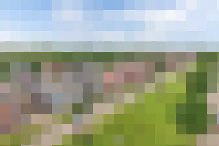 Smaragd 76 Drachten thumbnail 37
