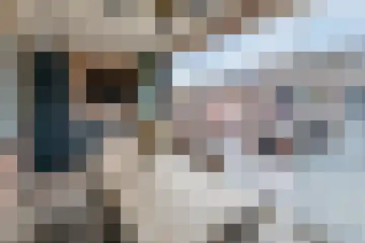 Smaragd 99 's-Hertogenbosch thumbnail 10