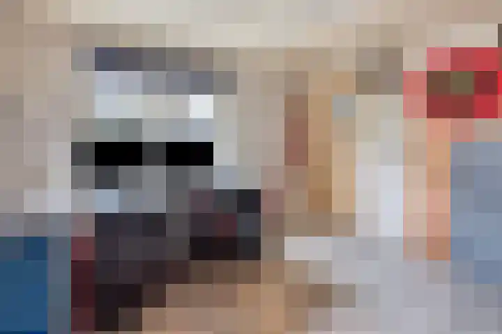 Smaragd 99 's-Hertogenbosch thumbnail 13