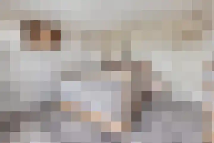 Smaragd 99 's-Hertogenbosch thumbnail 15