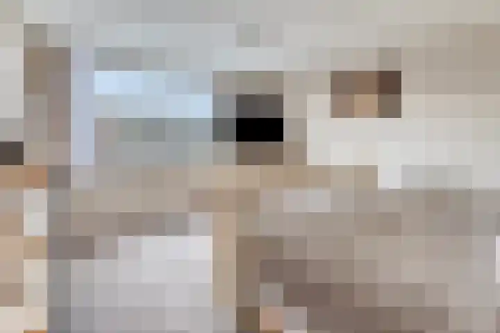 Smaragd 99 's-Hertogenbosch thumbnail 16
