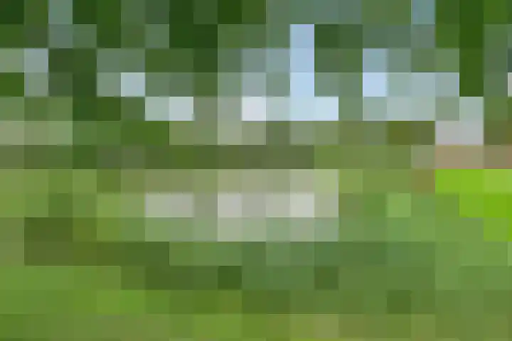 Smaragd 99 's-Hertogenbosch thumbnail 25