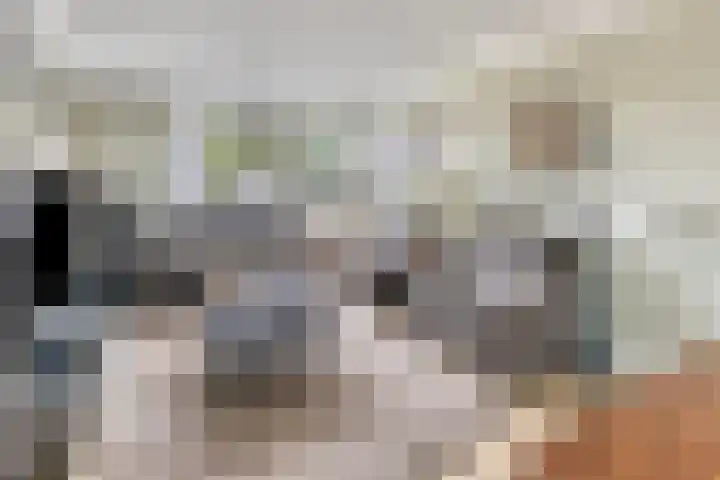 Smaragd 99 's-Hertogenbosch thumbnail 4