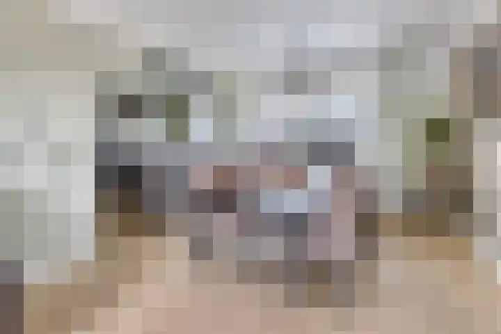 Smaragd 99 's-Hertogenbosch thumbnail 5