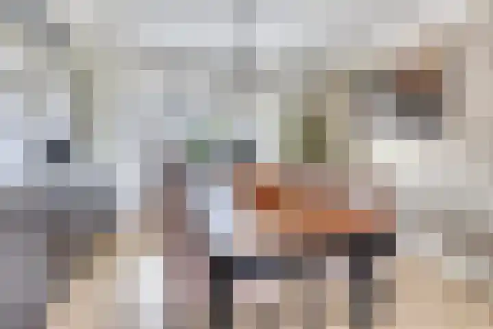 Smaragd 99 's-Hertogenbosch thumbnail 6