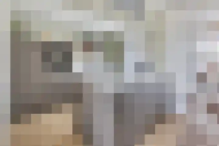 Smaragd 99 's-Hertogenbosch thumbnail 7