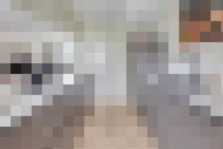 Smaragd 99 's-Hertogenbosch thumbnail 8