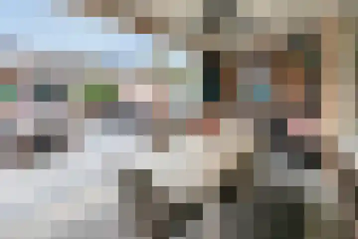 Smaragd 99 's-Hertogenbosch thumbnail 9