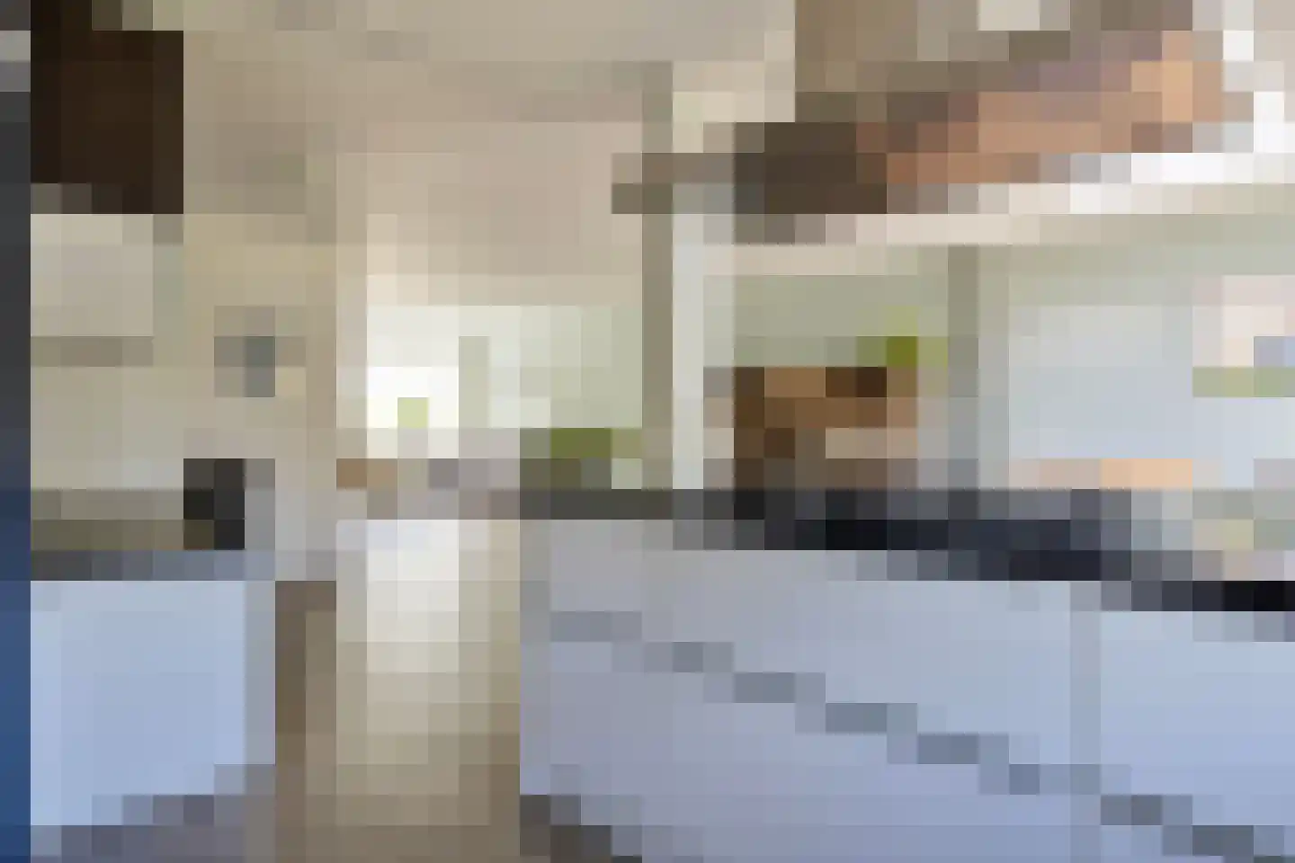 Smaragdboog 4 Terneuzen thumbnail 12